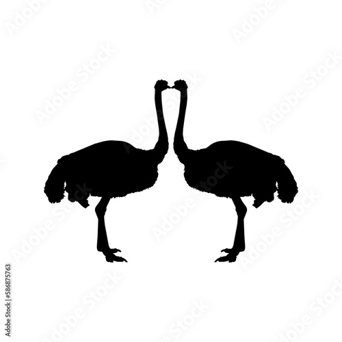 Pair of the Ostrich Silhouette for Logo, Pictogram, Art Illustration or Graphic Design Element. Vector Illustration
