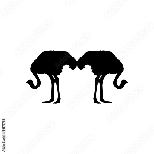 Pair of the Ostrich Silhouette for Logo, Pictogram, Art Illustration or Graphic Design Element. Vector Illustration