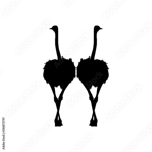 Pair of the Ostrich Silhouette for Logo, Pictogram, Art Illustration or Graphic Design Element. Vector Illustration