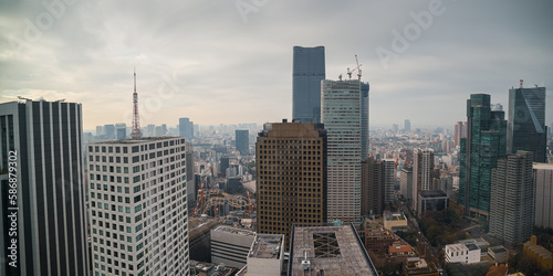 Tokyo from above. Wide angle panorama landscape with the skyscraper office buildings of Tokyo during a cloudy day in Japan.