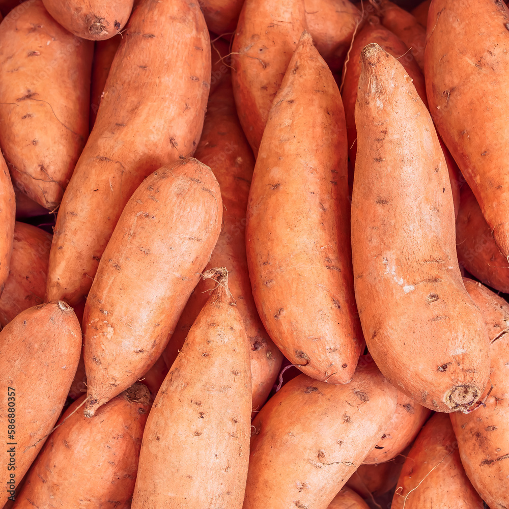 Organic sweet yam potatoes top view closeup. Vegetarian, nutritional food seamless pattern. Organic sweet yam potatoes top view closeup. Vegetarian, nutritional food seamless pattern.