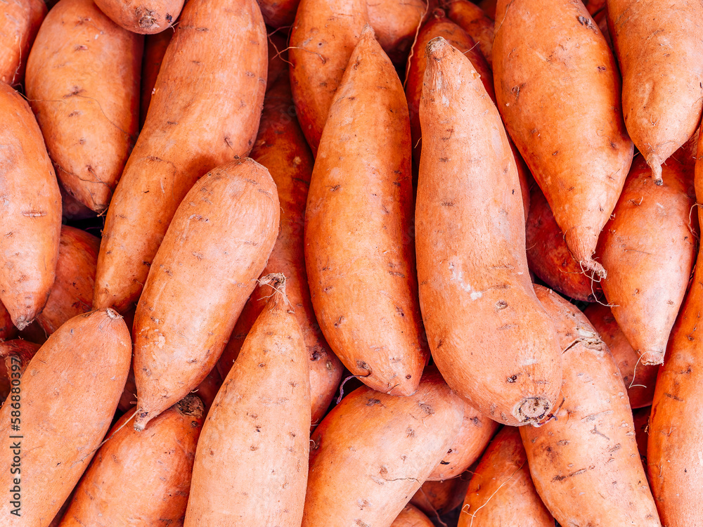 Organic sweet yam potatoes top view closeup. Vegetarian, nutritional food seamless pattern. Organic sweet yam potatoes top view closeup. Vegetarian, nutritional food seamless pattern.