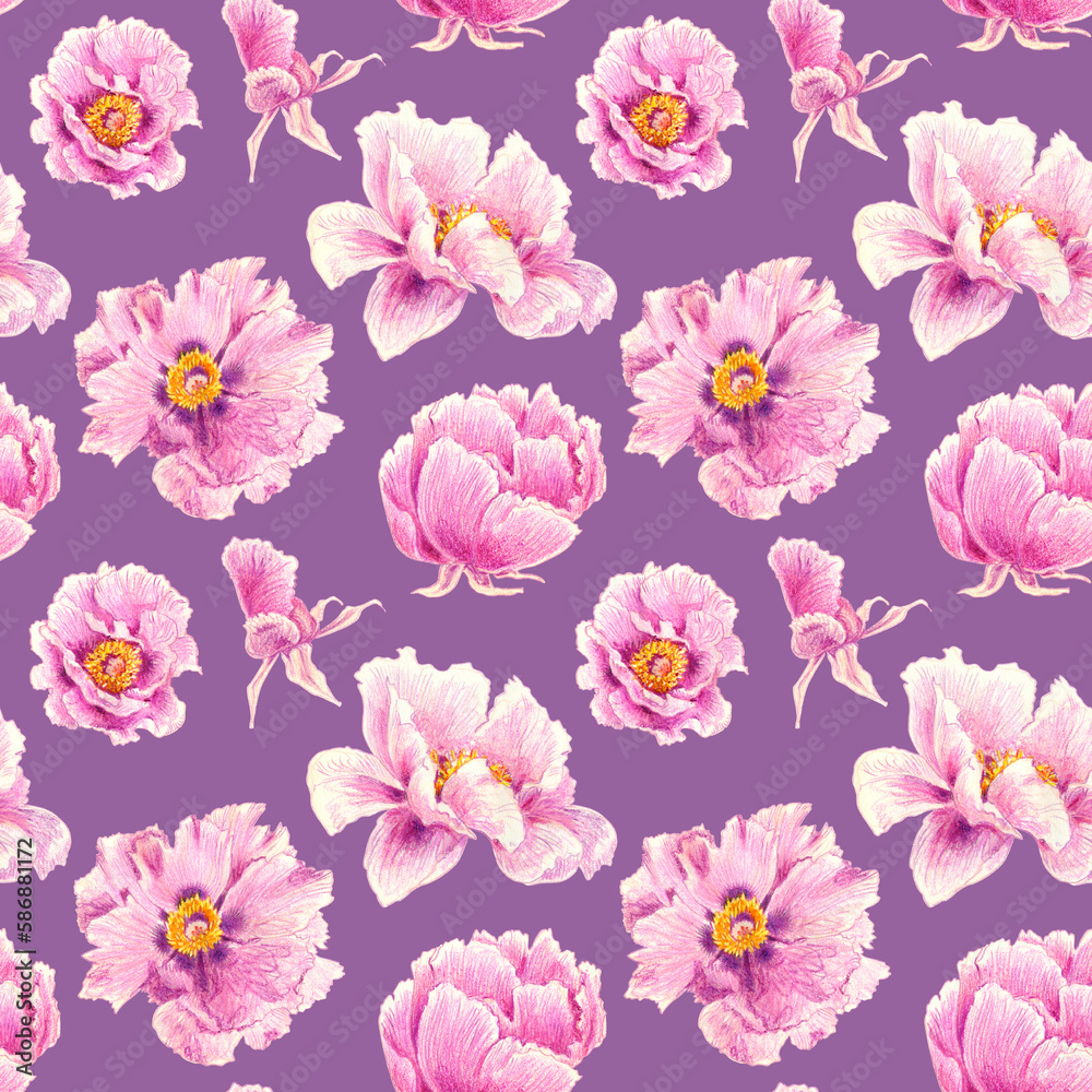 Seamless pattern of pink peonies hand drawn illustration. Hand painted floral elements. Botanical natural objects on lilac background. Seamless pattern of pink peonies hand drawn illustration. Hand painted floral elements. Botanical natural objects on lilac background.