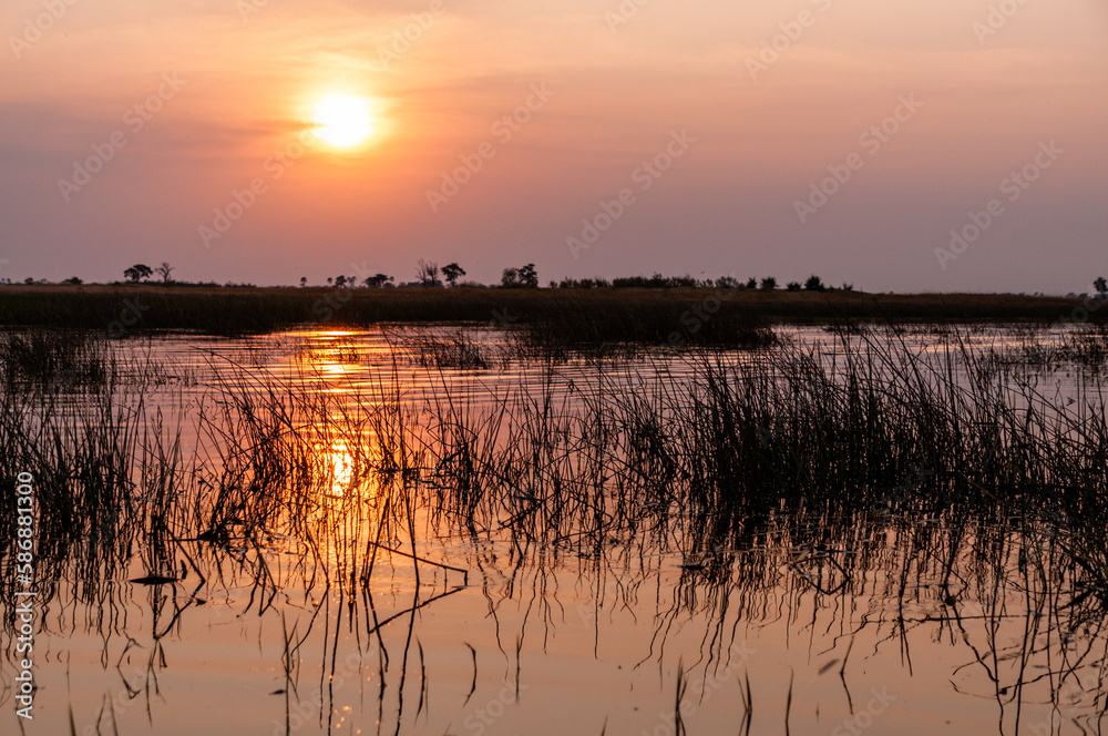 Telephoto shot of a beautiful sunset in the Okavango Delta in Botswana. Telephoto shot of a beautiful sunset in the Okavango Delta in Botswana.