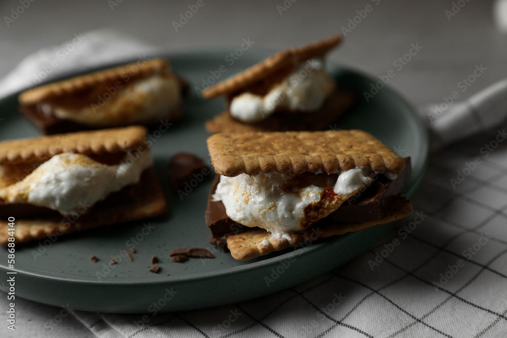 Delicious marshmallow sandwiches with crackers and chocolate on plate, closeup