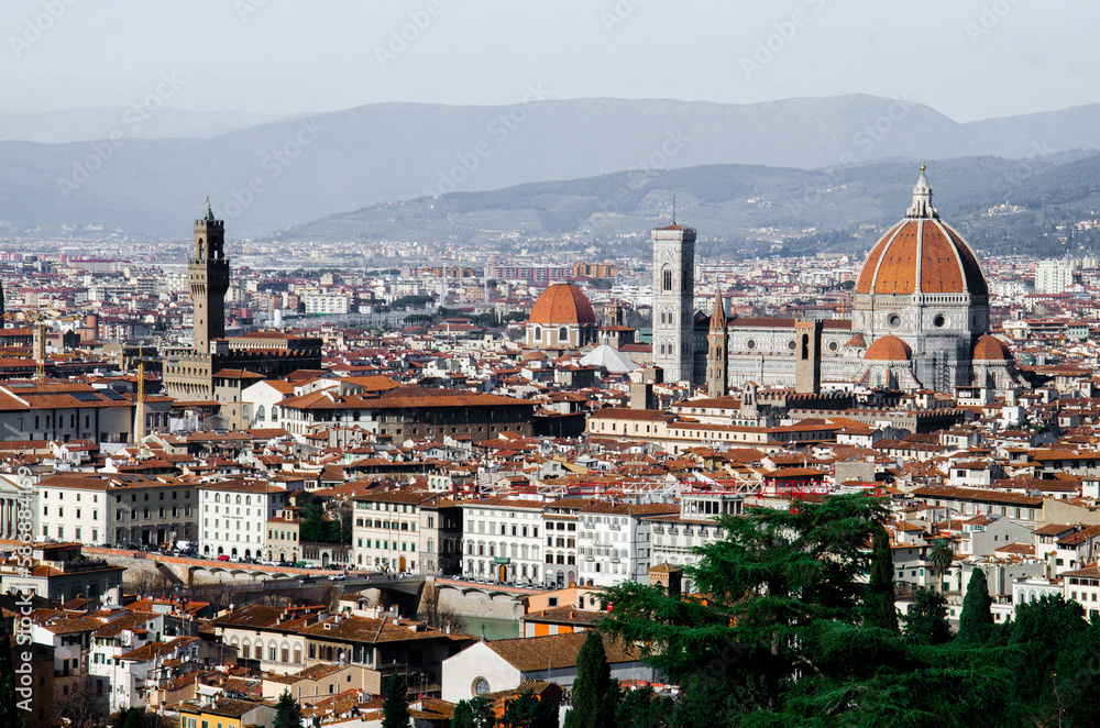 Panorama of Florence and classical old tile roofs stock photo