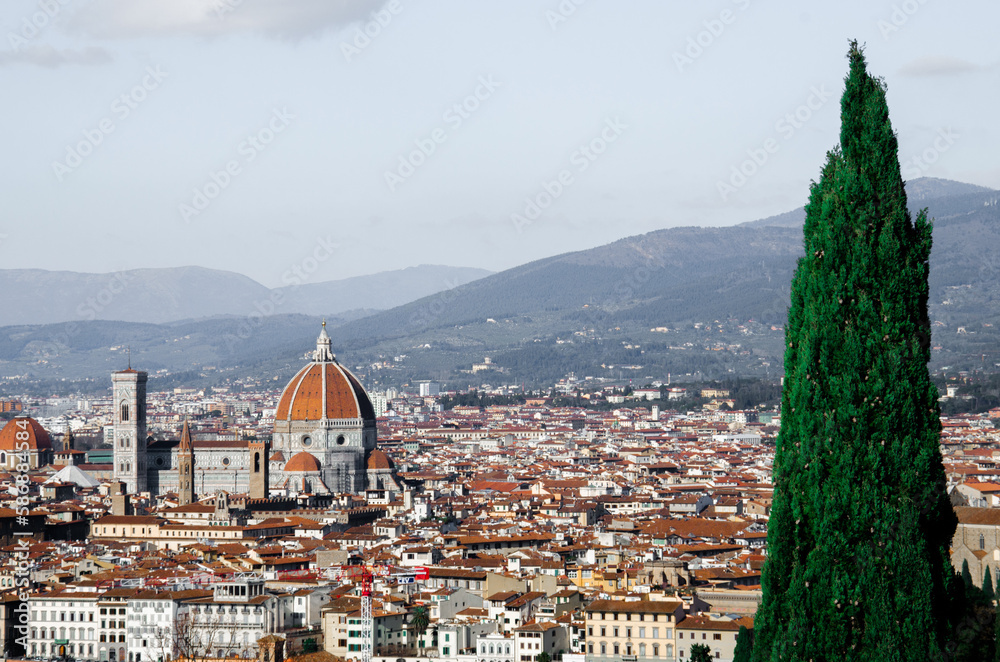 Fototapeta premium The most beautiful panorama of Florence with tall green tree, stock photo