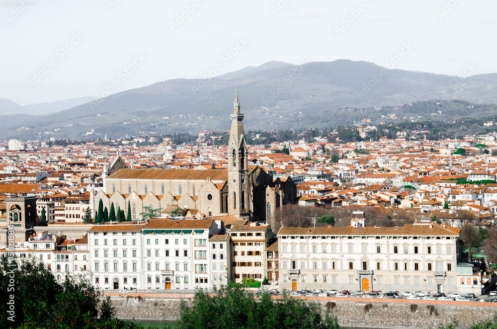 View of old town and Santa Maria Novella in Florence 
