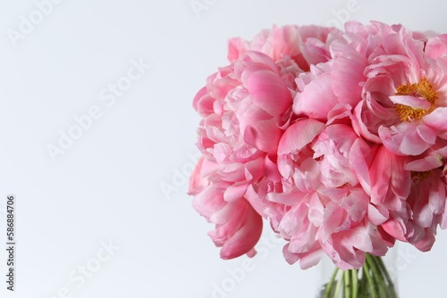 Beautiful bouquet of pink peonies in vase against white background, closeup. Space for text