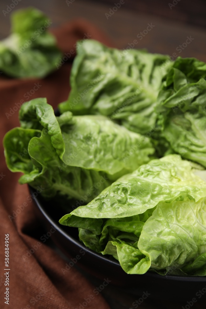 Fresh green romaine lettuces in bowl, closeup Fresh green romaine lettuces in bowl, closeup