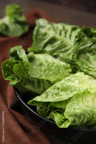 Fresh green romaine lettuces in bowl, closeup
