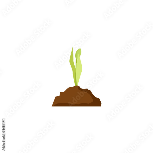 Tulip sprout from a pile of earth on a white background
