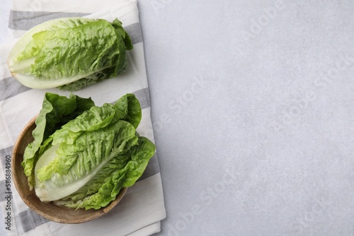Fresh green romaine lettuces on grey table, flat lay. Space for text