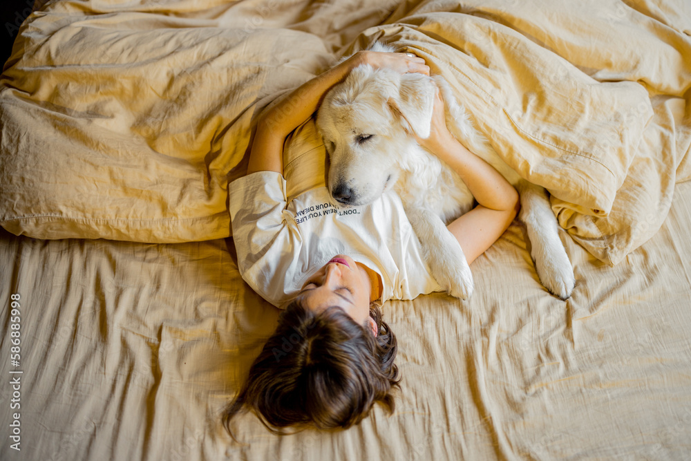 Young woman hugs with her cute dog while lying together covered with beige blanket in bed. View from above. Concept of friendship with pets and home coziness Young woman hugs with her cute dog while lying together covered with beige blanket in bed. View from above. Concept of friendship with pets and home coziness