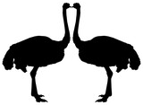 Pair of the Ostrich Isolated Silhouette for Logo, Pictogram, Art Illustration or Graphic Design Element. Format PNG