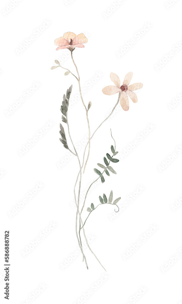 Beautiful floral stock illustration with hand drawn watercolor wild field flowers. Clip art.