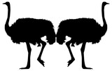 Pair of the Ostrich Isolated Silhouette for Logo, Pictogram, Art Illustration or Graphic Design Element. Format PNG