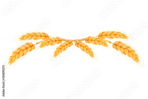 Wreath border from spikelets, golden color wheat horizontal frame in cartoon style isolated on white background. For bakery, tags or labels