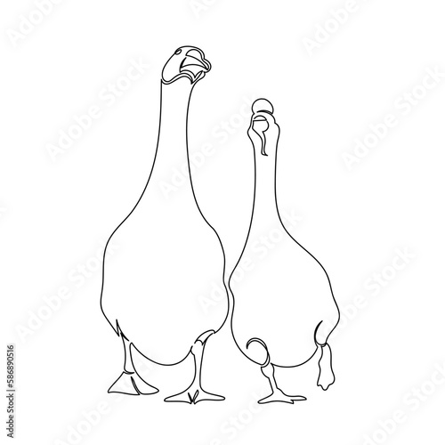 goose. one line. a continuous infinite line. graphic contour image of ducks. two geese