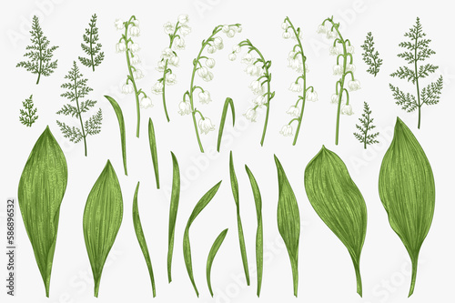 Spring set with lily of the valley flowers and herbs. Botanical vector illustration. Vintage. Colorful.