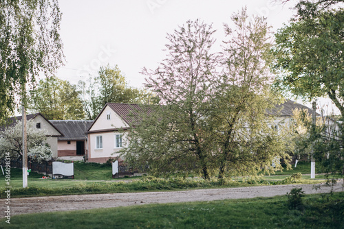 Flowering street in the village in spring