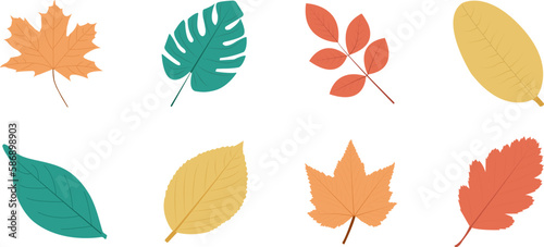 Leaves set. Fall leaf on white background. Vector icons