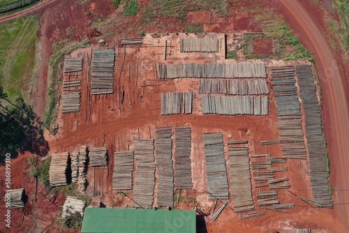 wood industry. deforestation. amazon jungle 