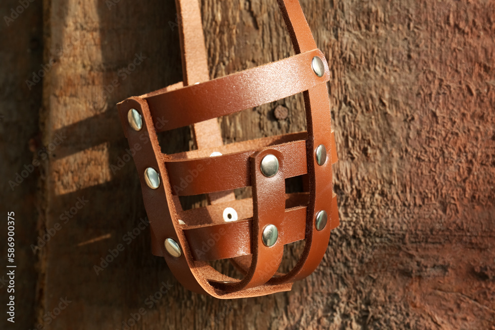 Brown dog muzzle hanging near wooden fence, closeup Brown dog muzzle hanging near wooden fence, closeup
