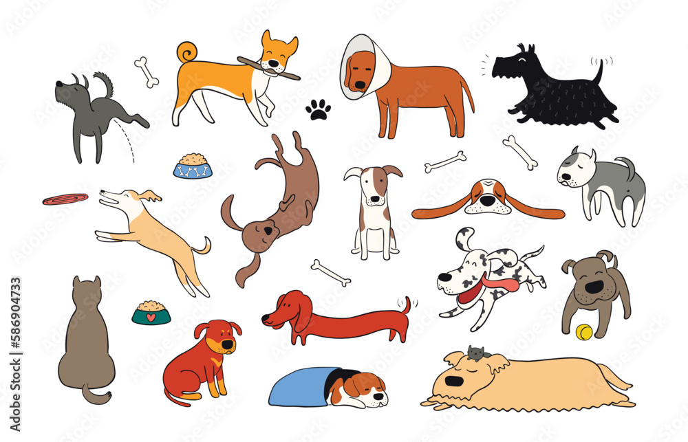 Cute funny dogs, puppies clipart collection, isolated. Hand drawn color vector illustration. Line drawing. Domestic animals set. Design concept for pet food, branding, business, vet, print, poster
