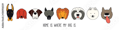 Cute funny dog, puppy faces border. Hand drawn color vector illustration. Line drawing. Domestic animals collection, isolated. Design concept for pet food, branding, business, vet, print, banner