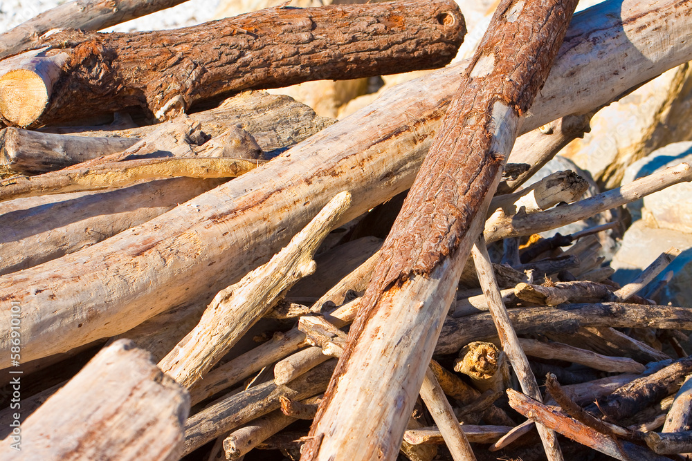 Pile of driftwood piled by the waves of the sea - driftwood background Pile of driftwood piled by the waves of the sea - driftwood background