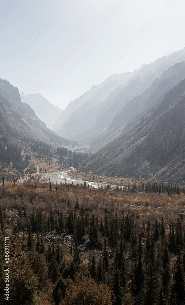 Fototapeta premium The photo showcases a breathtaking panoramic view of a beautiful mountain gorge on a sunny autumn day.