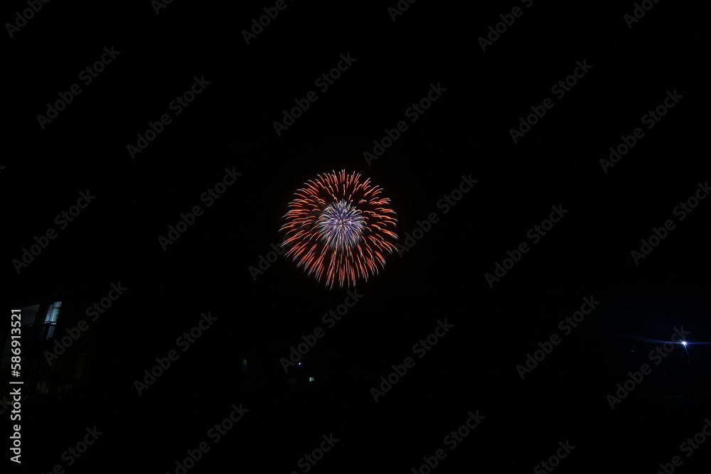 新潟弥彦の花火