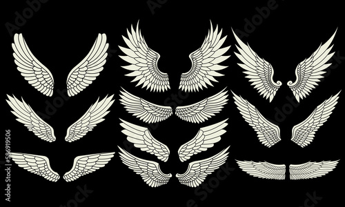 vector set of angel wings illustration design