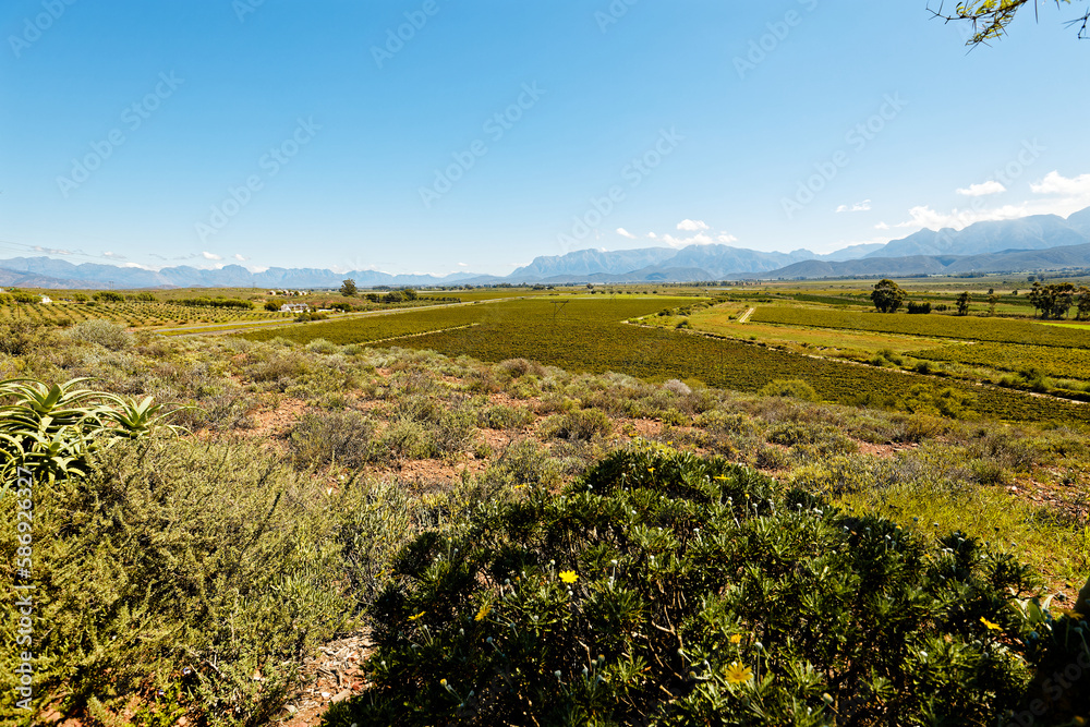 A view over Breede River Valley and farmland near Worcester, Western Cape, South Africa.