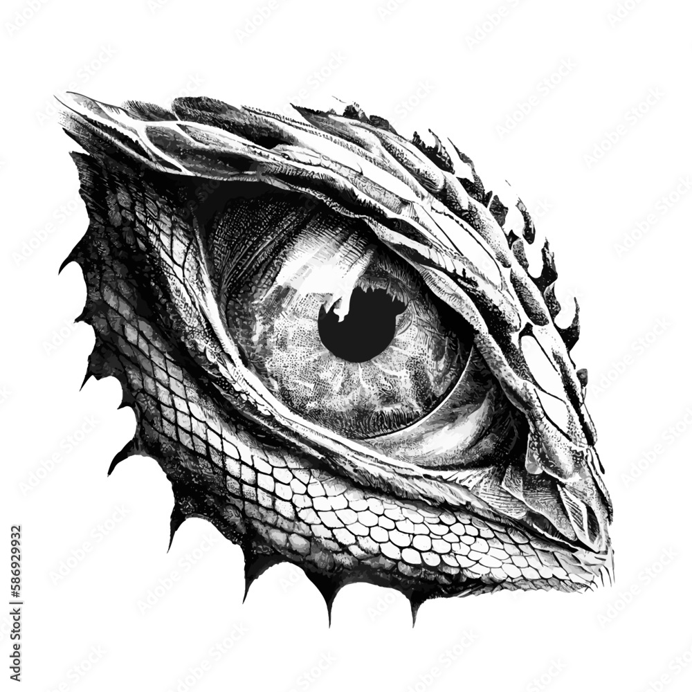 Monster Eye Cliparts Fictional Eye Outline Black and White - Etsy