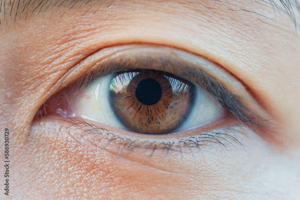 Macro asian woman brown eye with clear contact lens Macro asian woman brown eye with clear contact lens