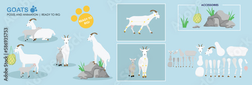 Mother Goat vector with baby kid goat ready to rig for animation. Black mountain goat collection, multiple poses, cute character.	
