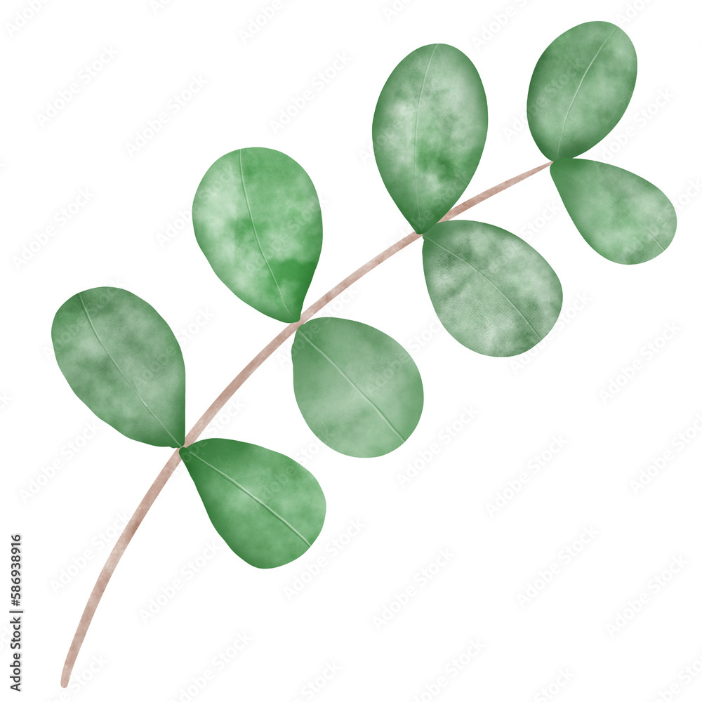 Obraz premium Green leaves branch watercolor