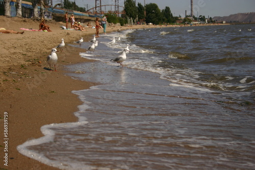 people on the beach