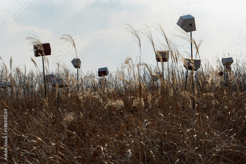 Photography Haneul Park nice landscape and stunning view near Seoul world cup stadium during