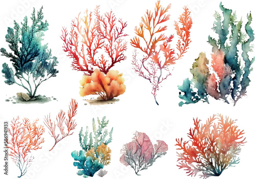 Set of vector watercolor seaweed and corals isolated on white. Sea theme, design element, decoration of water entertainment places, parks, beaches.