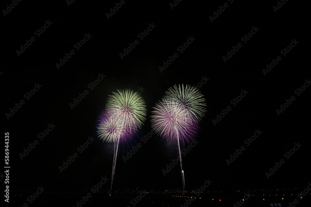 夏の長岡花火大会