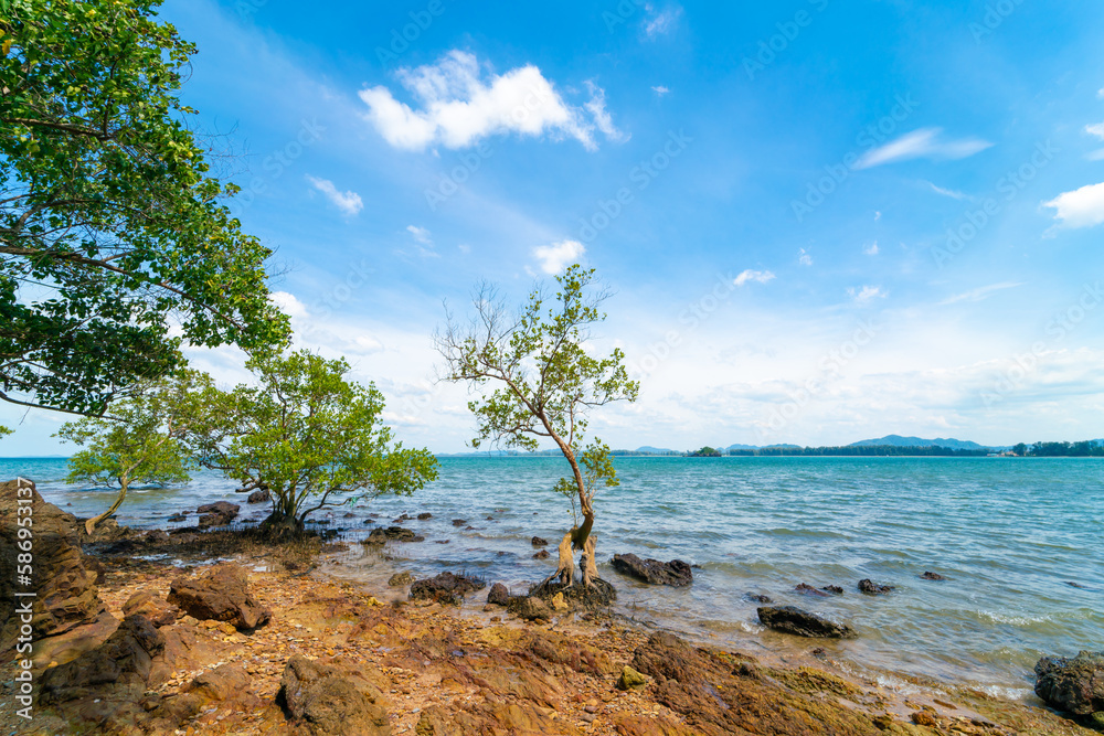 Tropical sea rocky beach with tree blue sky with cloud Tropical sea rocky beach with tree blue sky with cloud