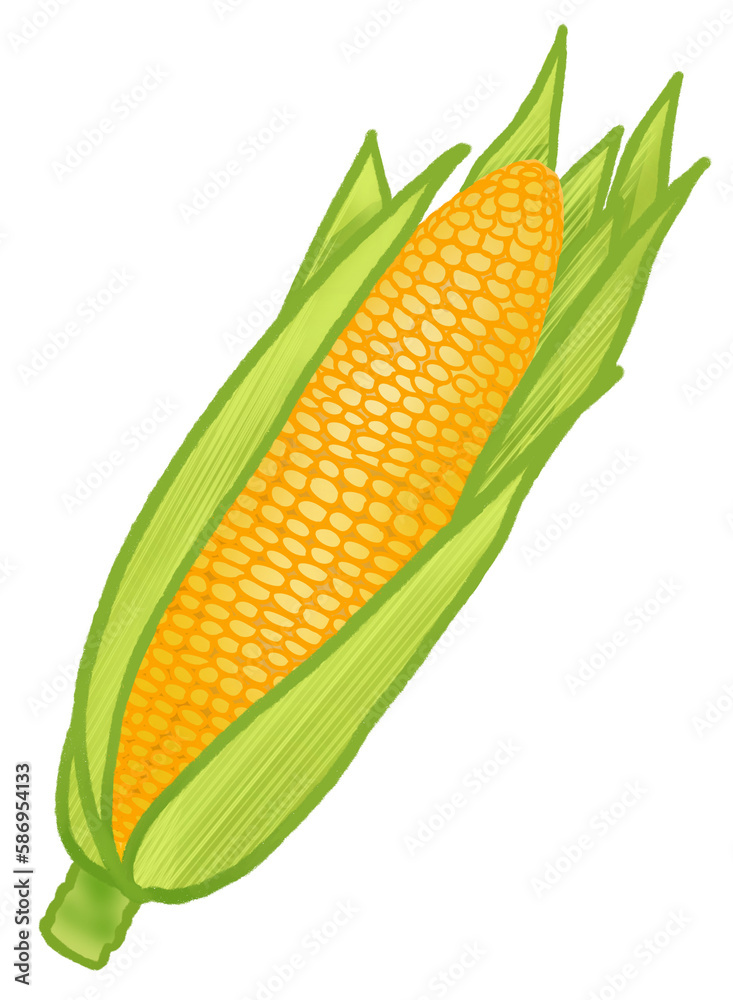 Obraz premium Corn