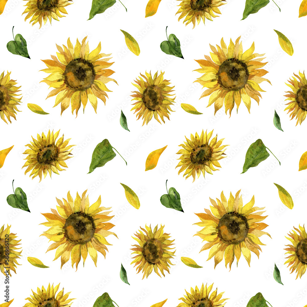 sunflowers isolated on white sunflowers isolated on white