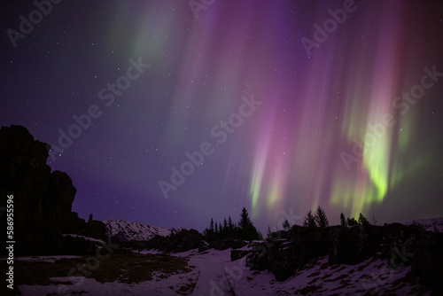 Colorful aurora borealis over forest trees path, Thingvellir Iceland © Arctic Mystic