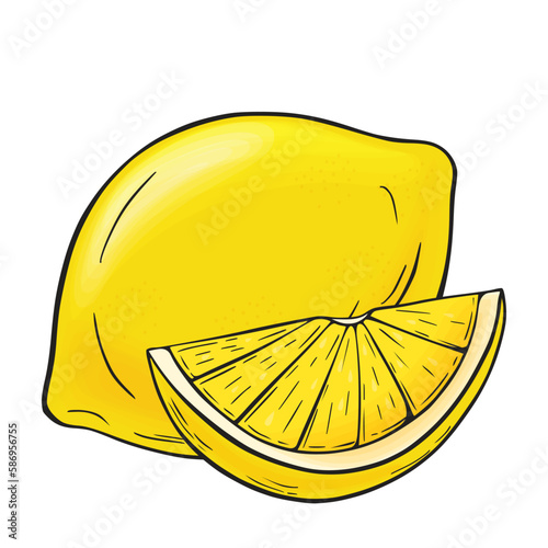 Juicy yellow lemon and slice. Linear drawing in ink and color fill on a white isolated background. Vector hand drawn illustration for logo or emblem