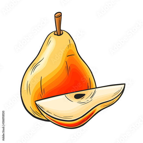 Juicy red and yellow pear and slice. Linear drawing in ink and color fill on a white isolated background. Vector hand drawn illustration for logo or emblem