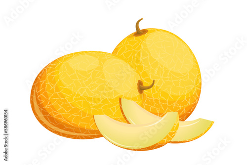 Melon.Ripe melon whole and slices.Juicy yellow fruits.Vector illustration highlighted on a white background.